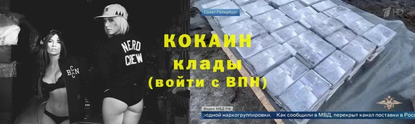 ешки Алексин